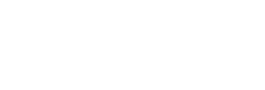 Lynsec_logo Lynsec logo